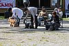 IMG_4318.JPG