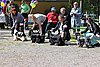IMG_4319.JPG
