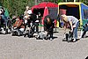 IMG_4321.JPG