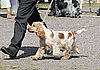 IMG_4326.JPG