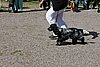 IMG_4329.JPG