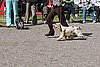 IMG_4331.JPG