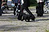 IMG_4334.JPG