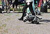 IMG_4338.JPG
