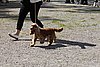 IMG_4345.JPG