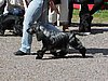 IMG_4348.JPG
