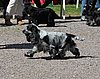 IMG_4354.JPG