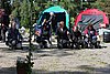 IMG_4374.JPG