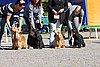 IMG_4379.JPG