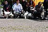 IMG_4381.JPG