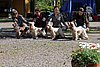IMG_4385.JPG