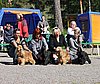 IMG_4386.JPG