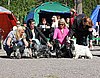 IMG_4387.JPG