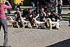 IMG_4397.JPG