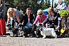 IMG_4404.JPG