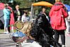 IMG_4408.JPG