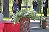 IMG_4412.JPG