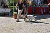 IMG_4414.JPG