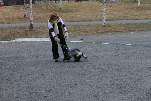 IMG_1046.JPG