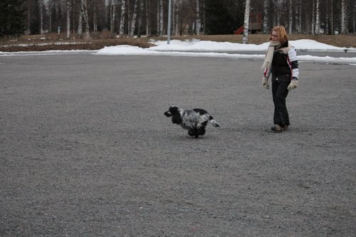 IMG_1088.JPG