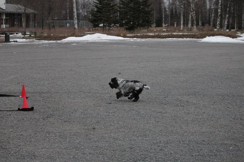 IMG_1090.JPG