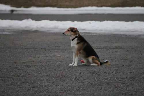 IMG_1114.JPG