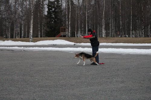 IMG_1115.JPG