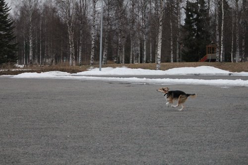 IMG_1116.JPG