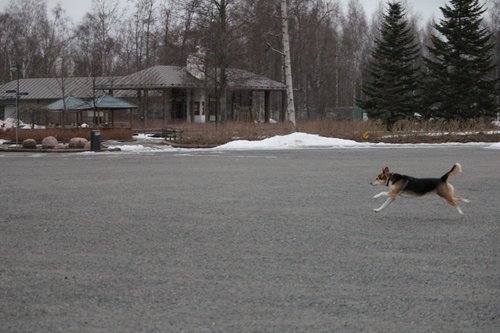 IMG_1119.JPG