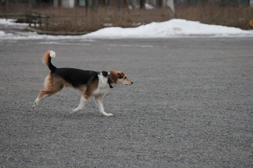 IMG_1121.JPG