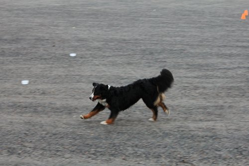 IMG_1167.JPG