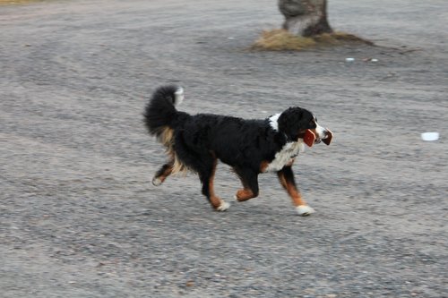 IMG_1187.JPG