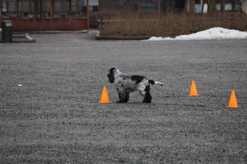 IMG_1211.JPG