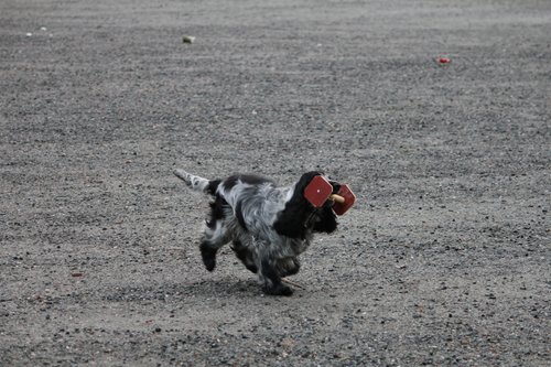 IMG_1253.JPG