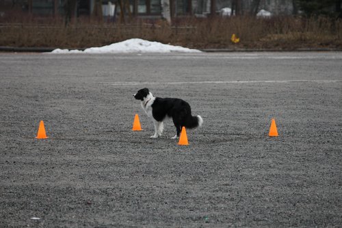 IMG_1260.JPG