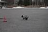 IMG_1090.JPG