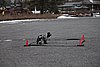 IMG_1102.JPG