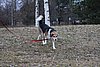 IMG_1113.JPG