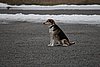 IMG_1114.JPG