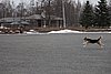 IMG_1119.JPG