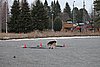 IMG_1120.JPG
