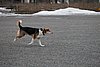 IMG_1121.JPG