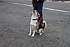 IMG_1158.JPG