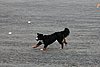IMG_1167.JPG