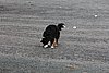 IMG_1168.JPG
