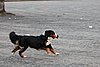 IMG_1188.JPG