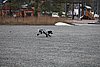 IMG_1205.JPG