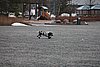 IMG_1206.JPG