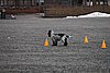 IMG_1211.JPG