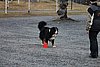 IMG_1216.JPG